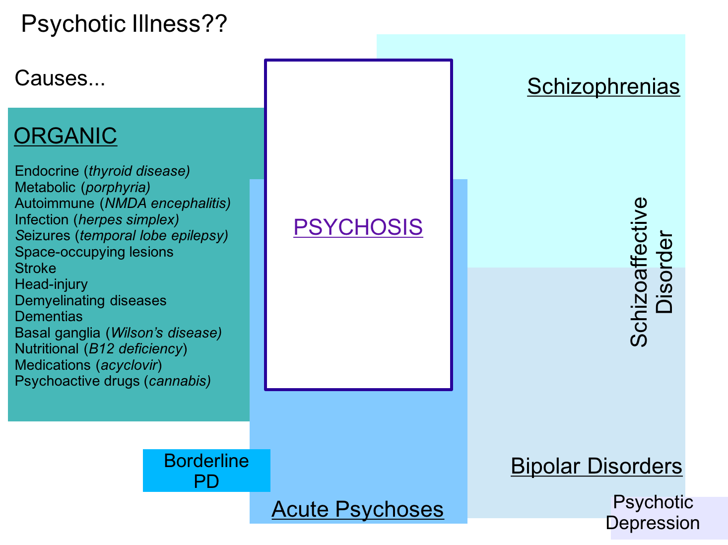 psychosis-causes-private-psychiatrist-londonprivate-psychiatrist-london